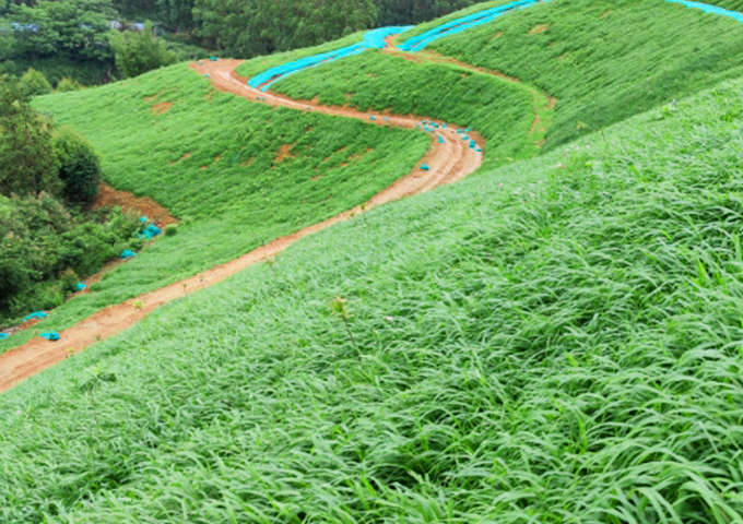 南嶺國家公園環(huán)丹霞山片區(qū)生態(tài)環(huán)境系統(tǒng)保護修復工程（湞江區(qū)煤矸石礦區(qū)遺址生態(tài)環(huán)境修復治理）設計、施工總承包